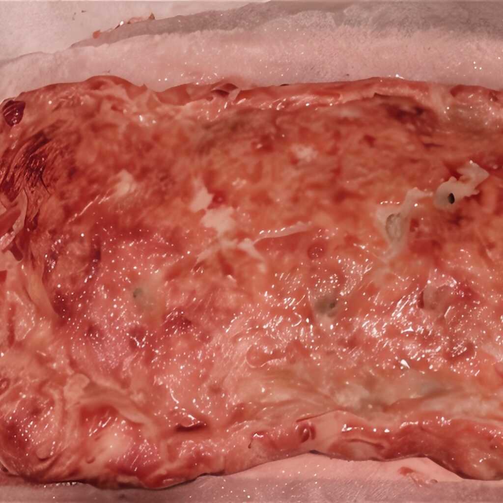 Blätterteigpastete gefüllt mit Kohl, grünen Zwiebeln und Ei