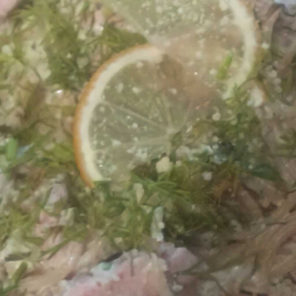 Cremige Nudeln mit Lachs und Dill