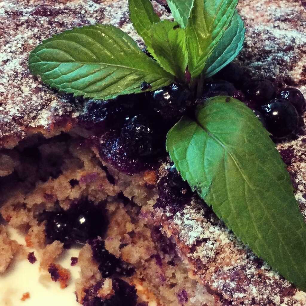 Haferkuchen mit schwarzen Johannisbeeren