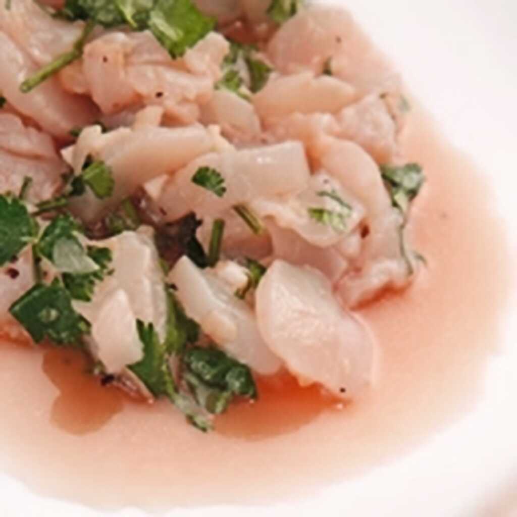 Jakobsmuschel-Ceviche