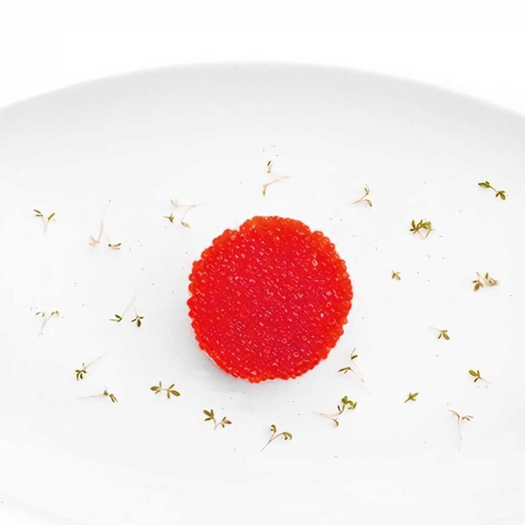 Krabben-Tartar