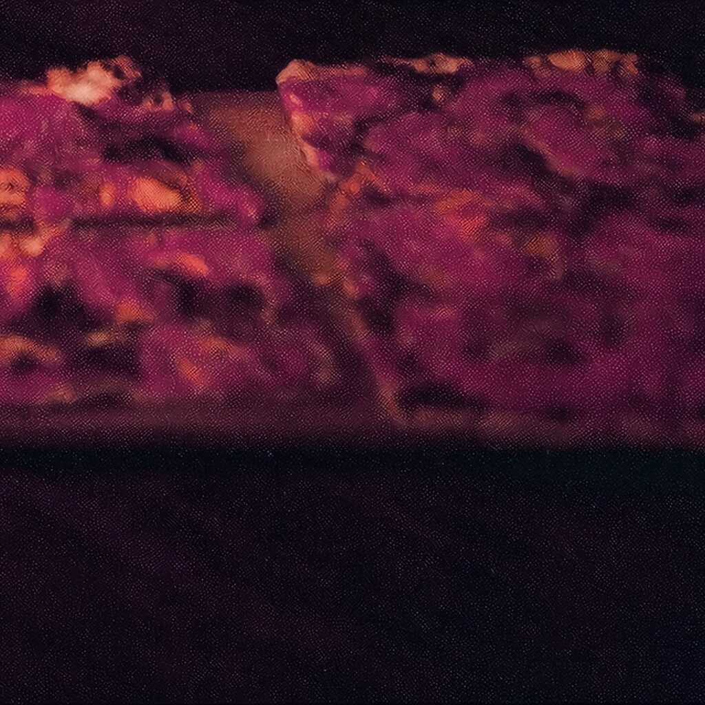 Mitta und Mayorovas sowjetische Pizza