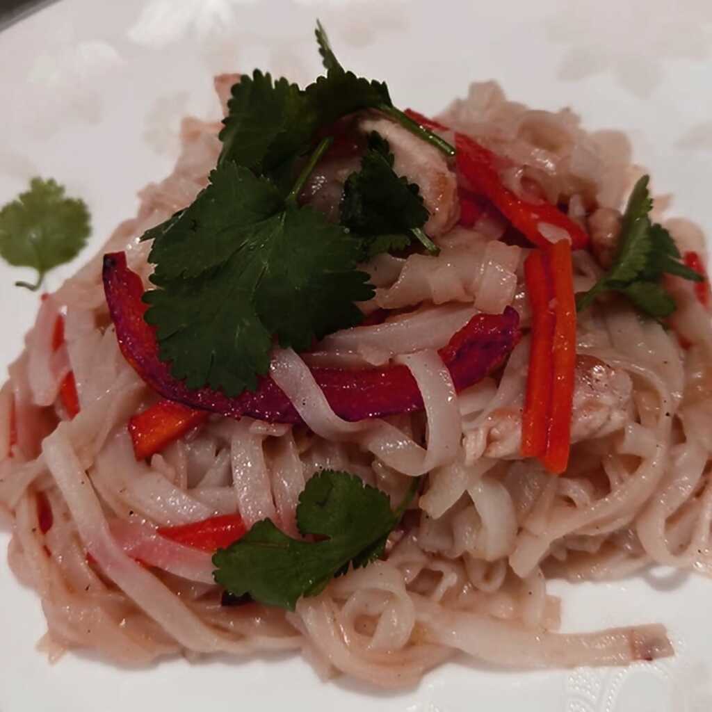 Nudeln mit Huhn in Teriyaki-Sauce