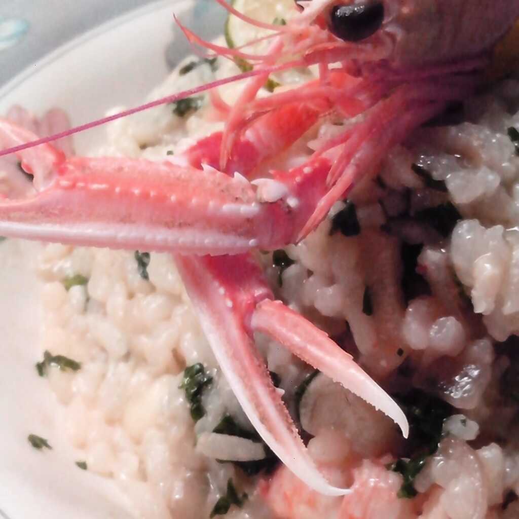 Risotto mit Meerestieren