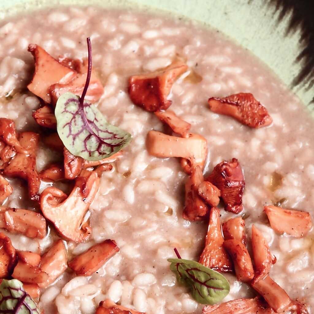 Risotto mit Pfifferlingen und Trüffelöl