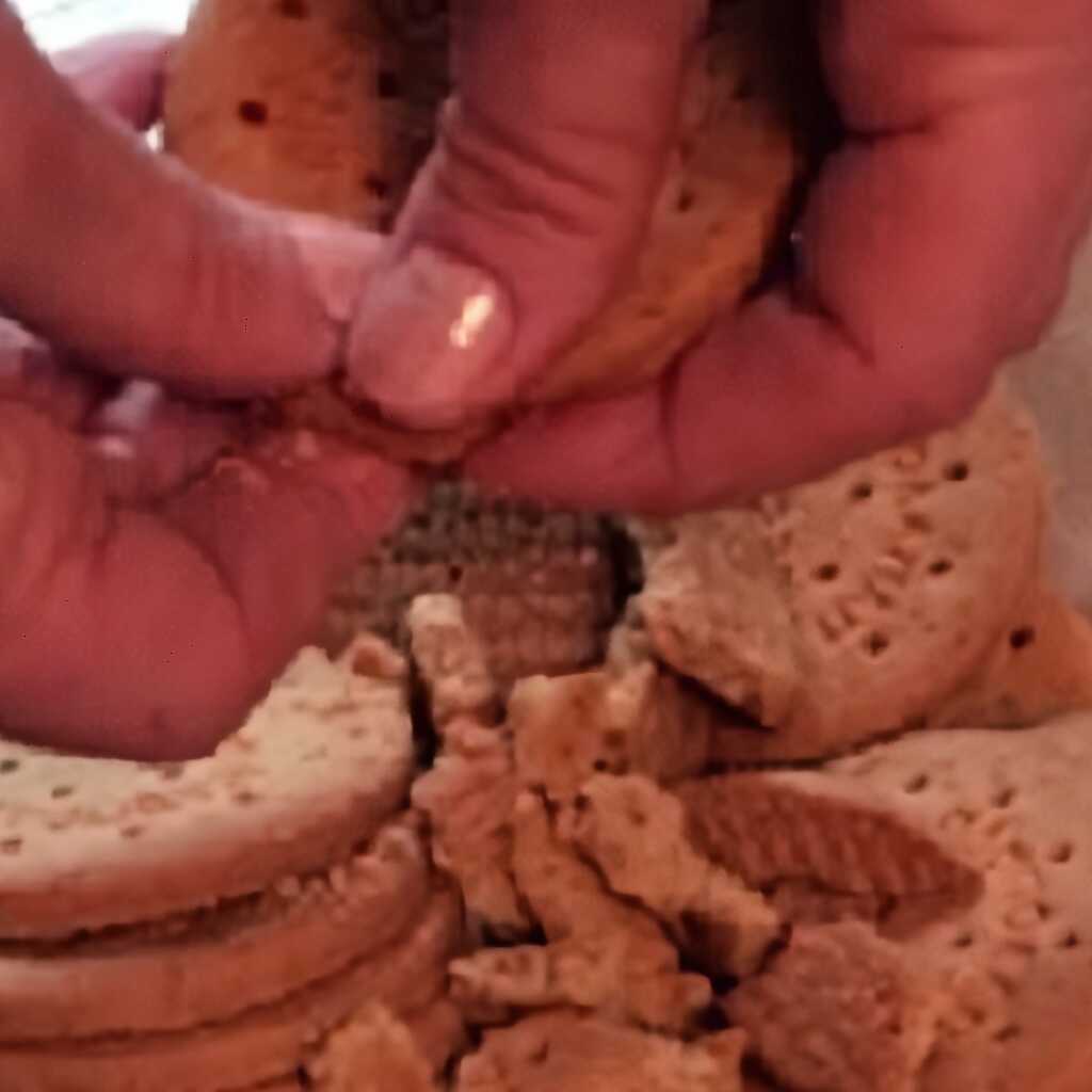 Schokoladenkuchen ohne Backen mit Keksen und Haselnüssen